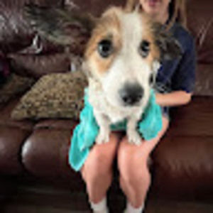 Meet your Posher, Amelia